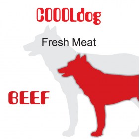coooldog beef